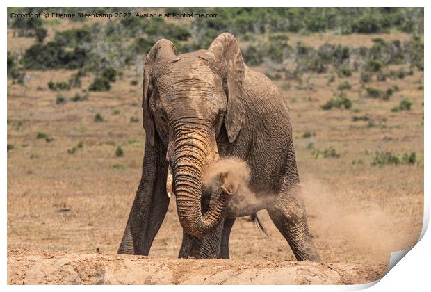 Elephant spraying dust Print by Etienne Steenkamp