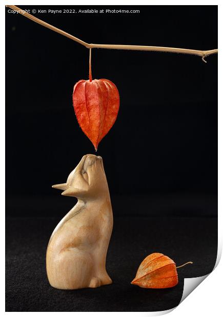 Wooden cat with flower pod Print by Ken Payne