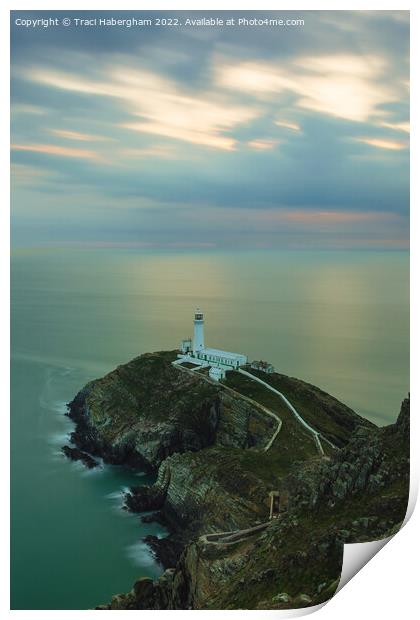 South Stack Lighthouse  Print by Traci Habergham