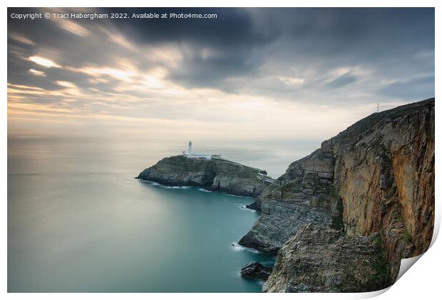 South Stack Lighthouse Print by Traci Habergham