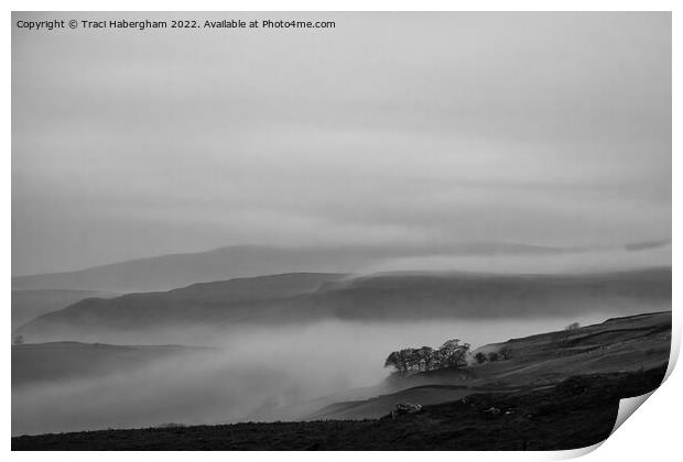 Mist In The Valley  Print by Traci Habergham