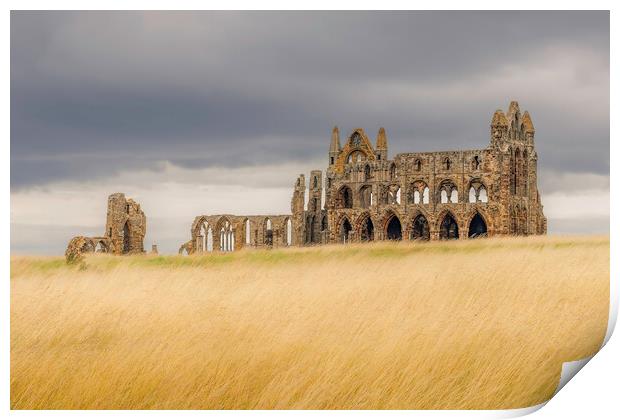 Whitby Abbey Print by Andy Shackell