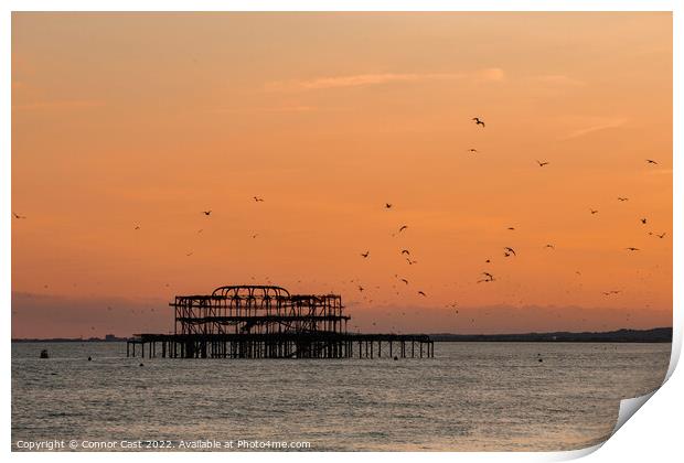 Brighton West Pier Sunset  Print by Connor Cast