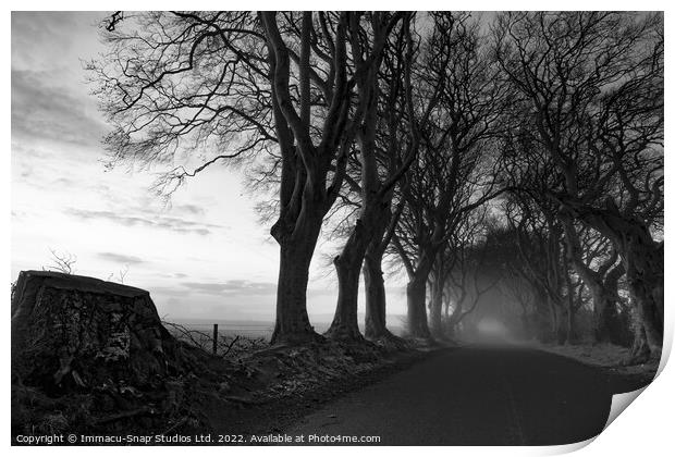 The Dark Hedges Print by Storyography Photography