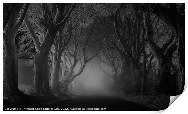 The Dark Hedges at Night Print by Storyography Photography