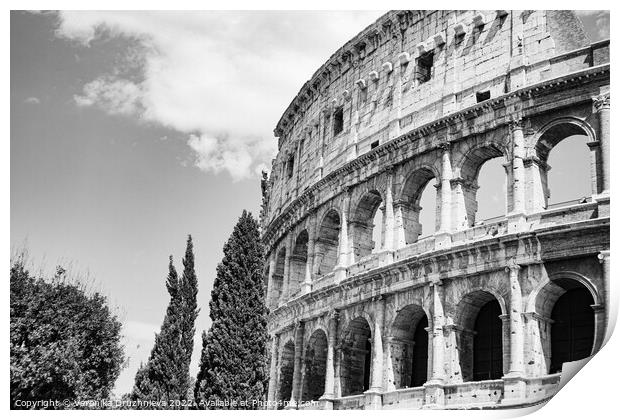 Building Coliseum Print by Veronika Druzhnieva