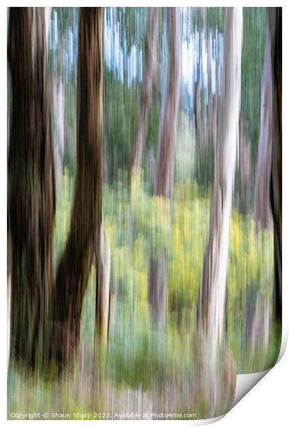 Impressionist View of Australia Print by Shaun Sharp