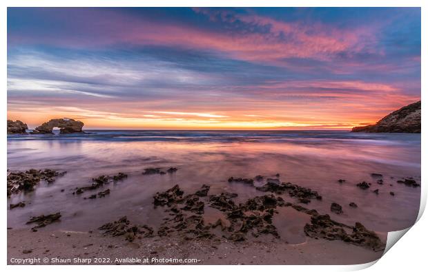 Sunset at Bridgewater Bay Print by Shaun Sharp