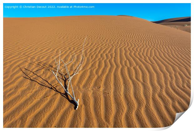 Erg Chebbi, sand desert of Merzouga, southeast of Morocco. Print by Christian Decout