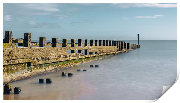 Weathered Groynes Guarding Scotlands Shore Print by DAVID FRANCIS