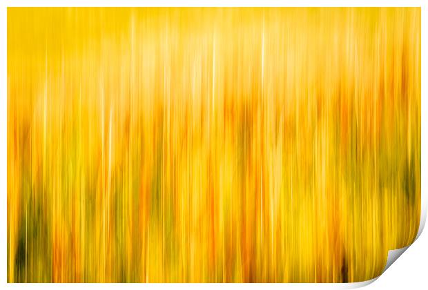 Golden Waves of Grass Print by DAVID FRANCIS