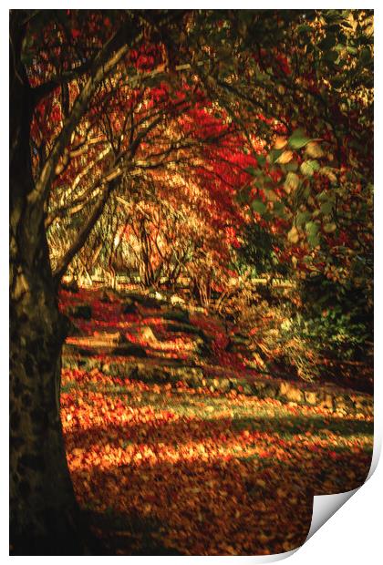 Captivating Autumn Reflections Print by DAVID FRANCIS