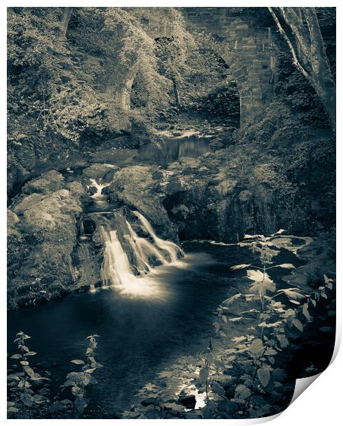 Peaceful Arbirlot Waterfall in Scotland Monochrome Print by DAVID FRANCIS