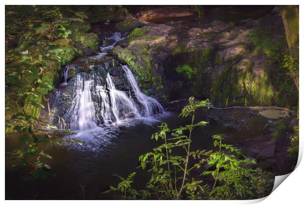 Cascading Arbirlot Waterfall Scotland Print by DAVID FRANCIS