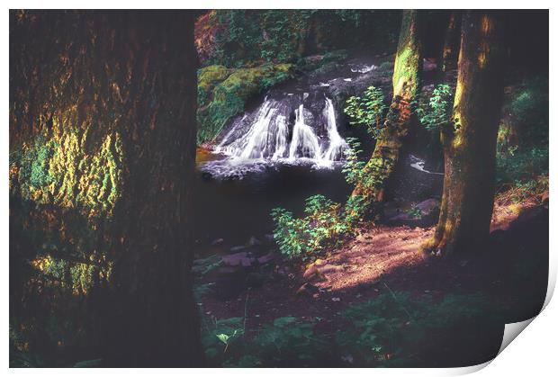 Hidden Gem Arbirlot Waterfall Scotland Print by DAVID FRANCIS