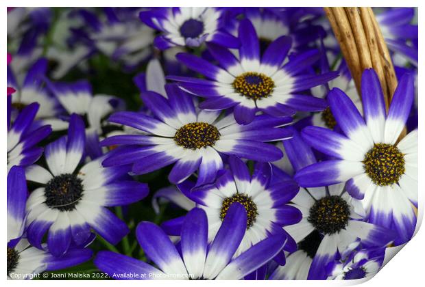 Basket of Flowers Print by Joani Maliska