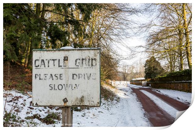 Old style warning sign Cattle grid please drive slowly Print by Rose Sicily