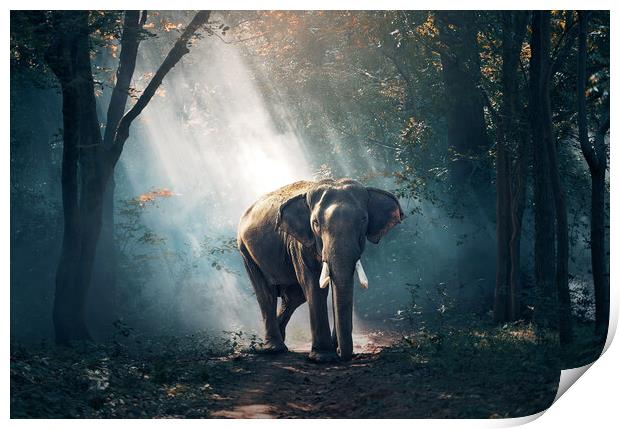 Sun beaming down on an Elephant Print by Elizabeth Hudson
