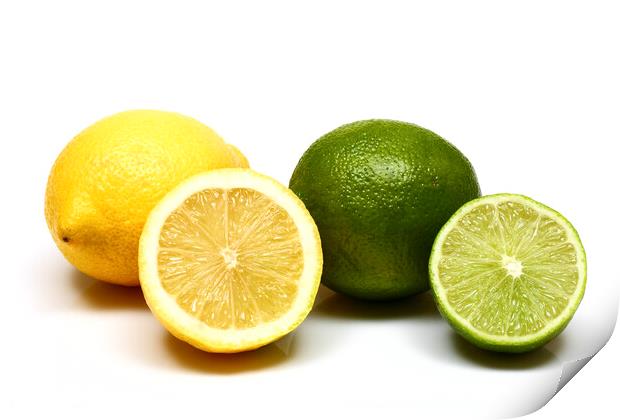 Lemons and Limes Print by Drew Gardner