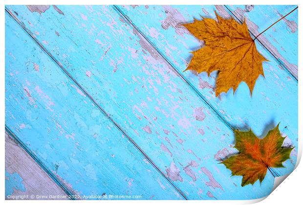 Autumnal Leaves Print by Drew Gardner