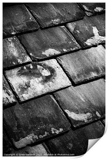 Roof Slates Print by Drew Gardner