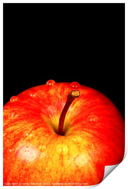 Ripe Red Apple Print by Drew Gardner