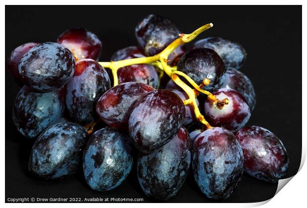Grapes Print by Drew Gardner