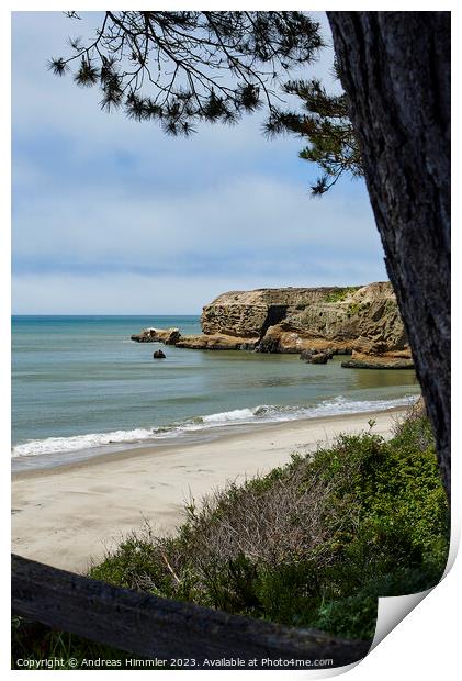 Cove Beach Ano Nuevo State Park Print by Andreas Himmler