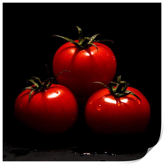  Tomatoes  Print by Will Ireland Photography