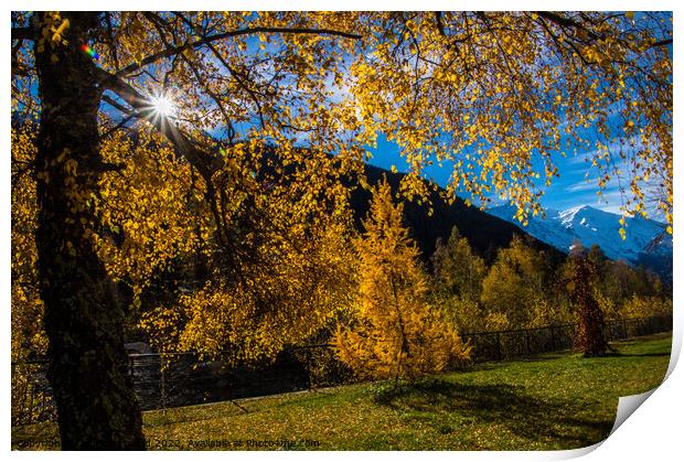 landscape of the french alps in autumn Print by louis bertrand