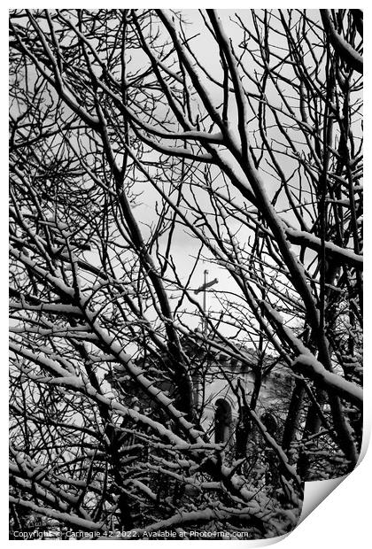 Winter's Tranquillity in Kingston Print by Carnegie 42