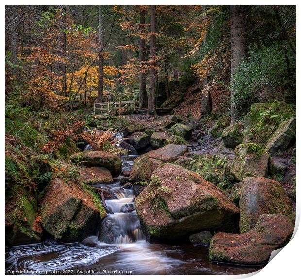 Autumn in Wyming Brook Nature Reserve. Print by Craig Yates