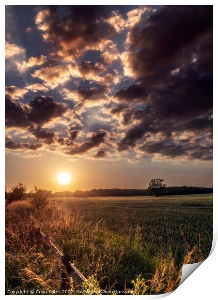 Sunset Over A field of Wheat Print by Craig Yates