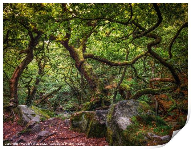 Padley Gorge Gnarly trees Print by Craig Yates