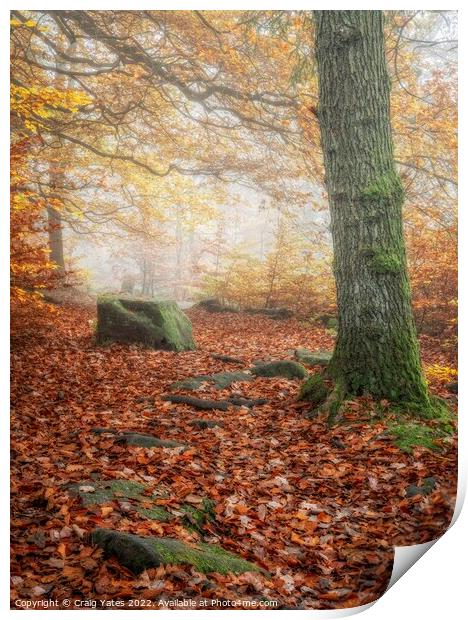 Autumn in Padley Gorge Peak District Derbyshire Print by Craig Yates