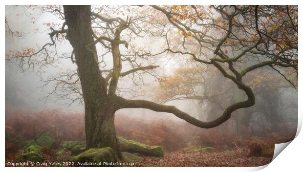 Padley Gorge in the mist. Print by Craig Yates