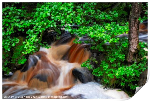 Padley Gorge Waterfall Rapids. Print by Craig Yates