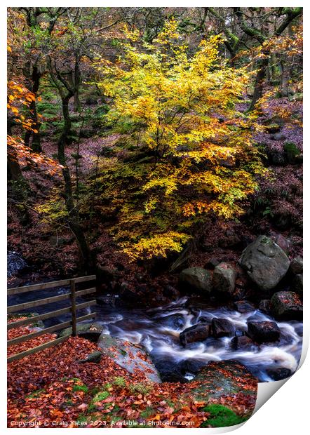 Autumn in Padley Gorge Peak District. Print by Craig Yates