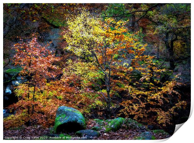 Padley Gorge Autumn Colours Print by Craig Yates