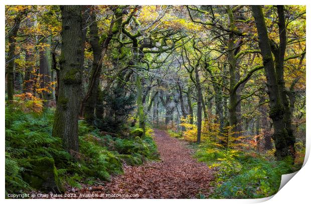 Padley Gorge Autumn Colours. Print by Craig Yates