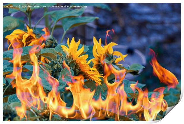 Sunflowers on fire Print by Stephen Pimm