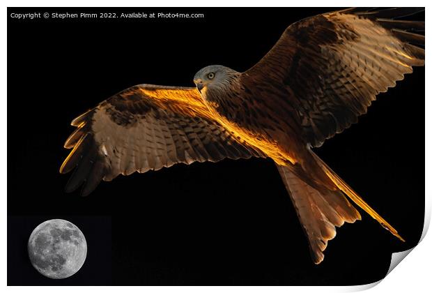 Red Kite above the Moon Print by Stephen Pimm