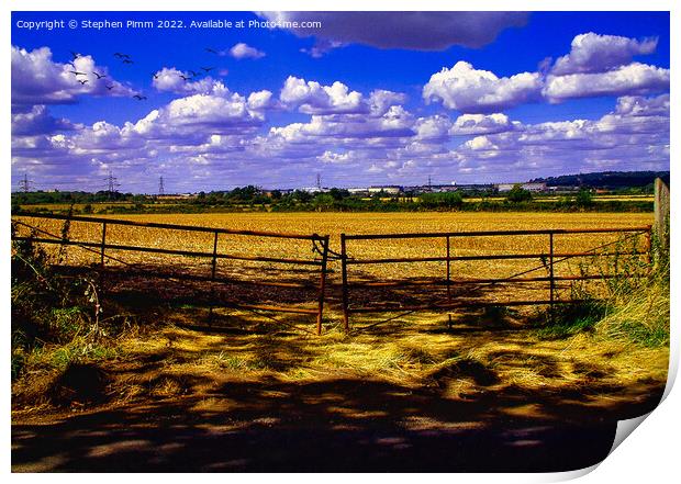 Field Gate View Print by Stephen Pimm