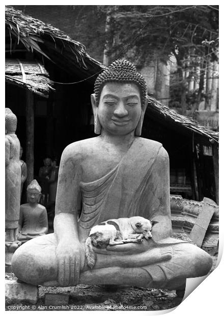 Dog sleeping in the lap of Buddha statue Print by Alan Crumlish