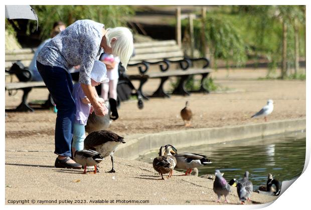 Feeding the Ducks Print by Ray Putley