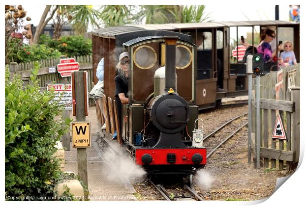 Hastings Seafront - Miniature Railway  Print by Ray Putley