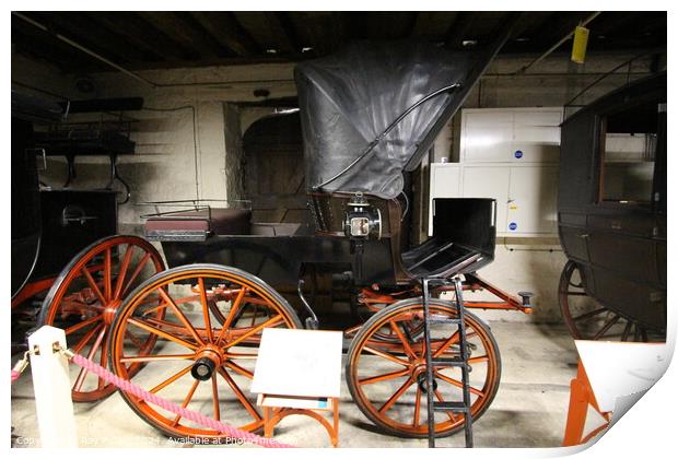 Tyrwhitt-drake Museum Of Carriages –  England, UK. Print by Ray Putley