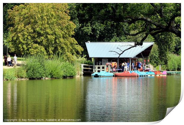 Dunorlan Park – England, UK. Print by Ray Putley