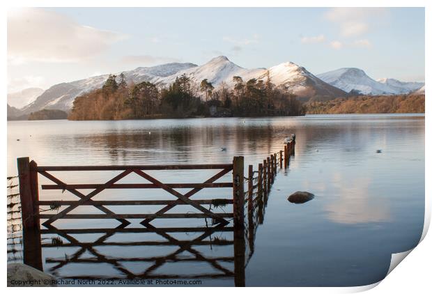 Majestic Reflection of Cat Bells Print by Richard North