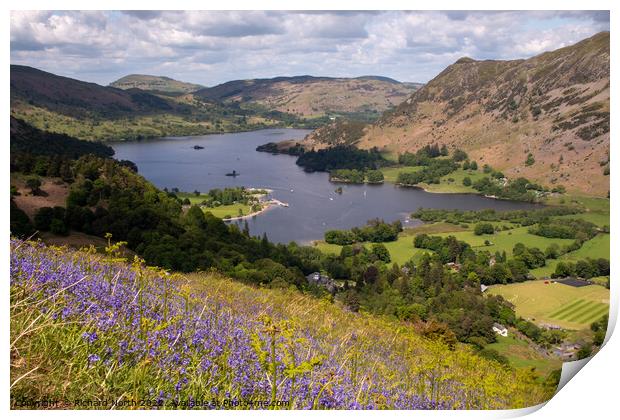 Bluebell Bliss on Ullswater Print by Richard North